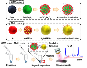 Highly-Sensitive SERS Probes Developed to Detect the PD-L1 Biomarker