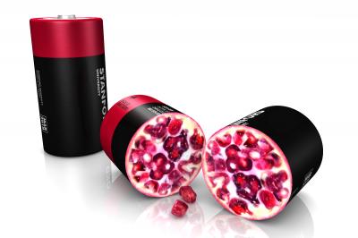 'Pomegranate-Inspired' Design