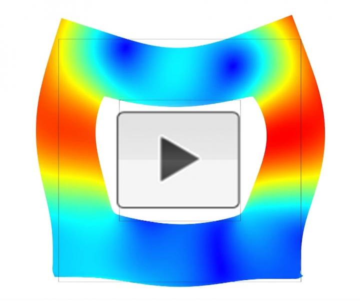 Expanding Point-Of-Care Disease Diagnostics with Ultrasound (Video)
