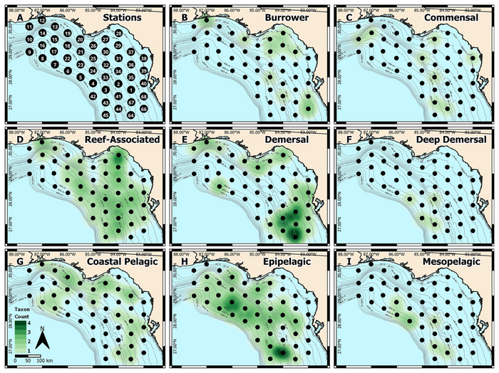 West Florida Shelf study region and heatmap of identified taxa.