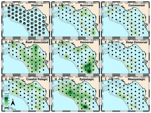 West Florida Shelf study region and heatmap of identified taxa.