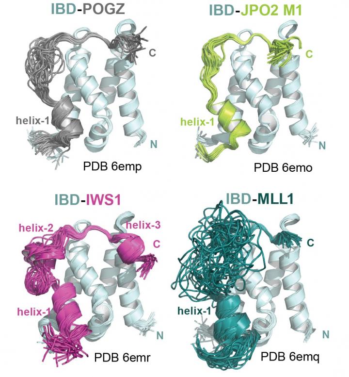 Solution Structures of the LEDGF/p75 Domain