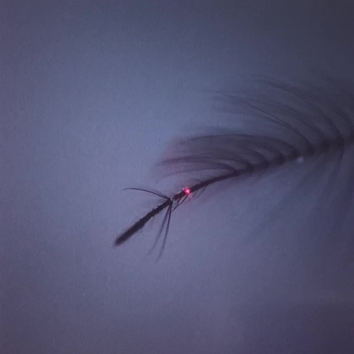 Measuring mosquito ear vibrati [IMAGE] EurekAlert! Science News Releases