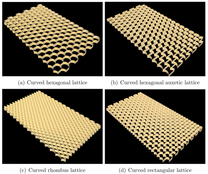 Family of curved 2D lattices conceived and analysed in the study