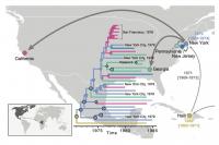How HIV spread across North America