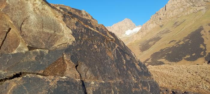 Fundort der Bilingue in der Almosi-Schlucht in Tadschikistan.