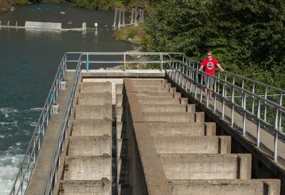 A Fishway Downstream of a Dam in Southwestern British Columbia