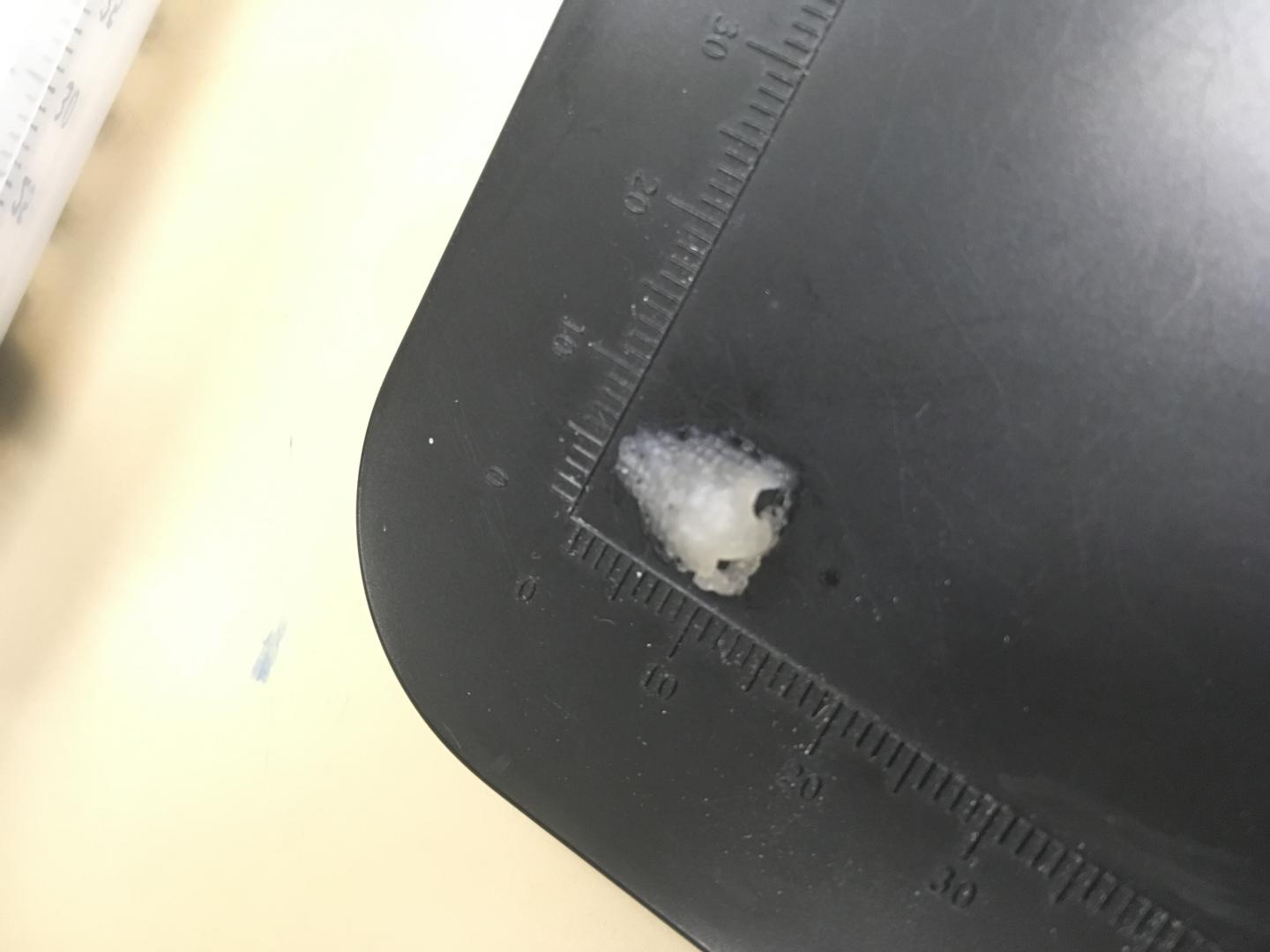 A 3D-printed scaffold of a nose