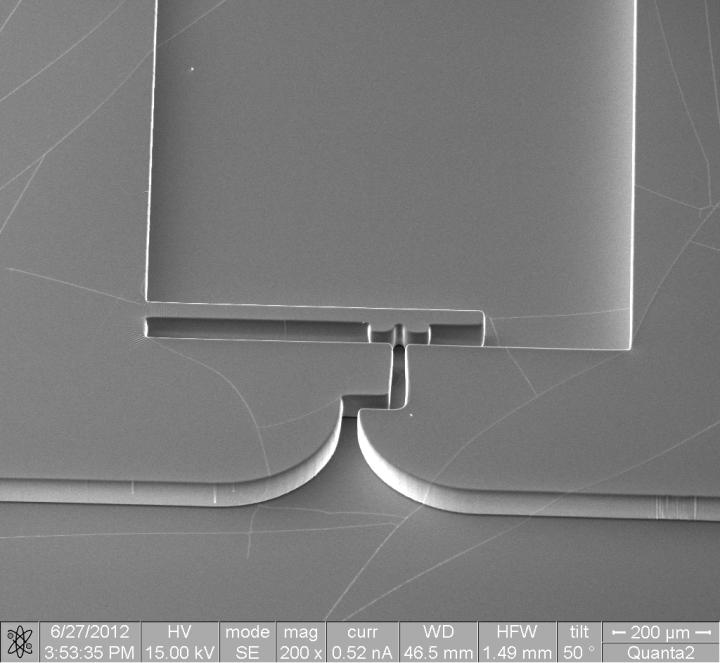 Image Scanning Electron Micrograph of the PDMS Cantilever
