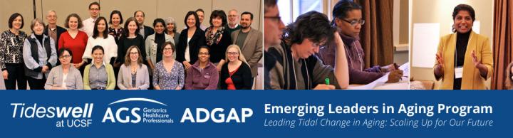 The Tideswell-AGS-ADGAP Emerging Leaders in Aging Program