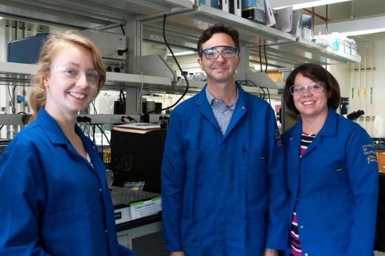 Chabinyc and Segalman