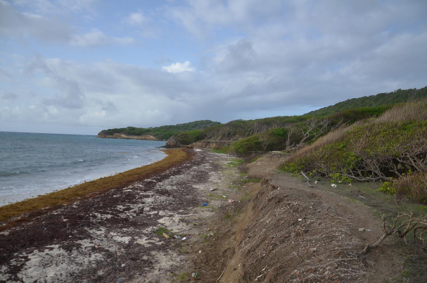 Early Caribbean Settlers May Have Arrived on Largest Islands First (5 of 7)