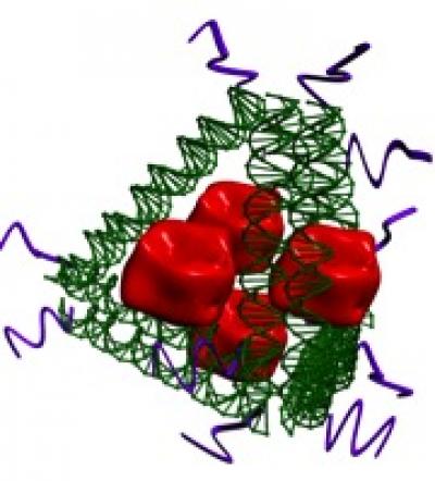 Tetrahedron DNA-Scaffolded Nicotine Vaccine
