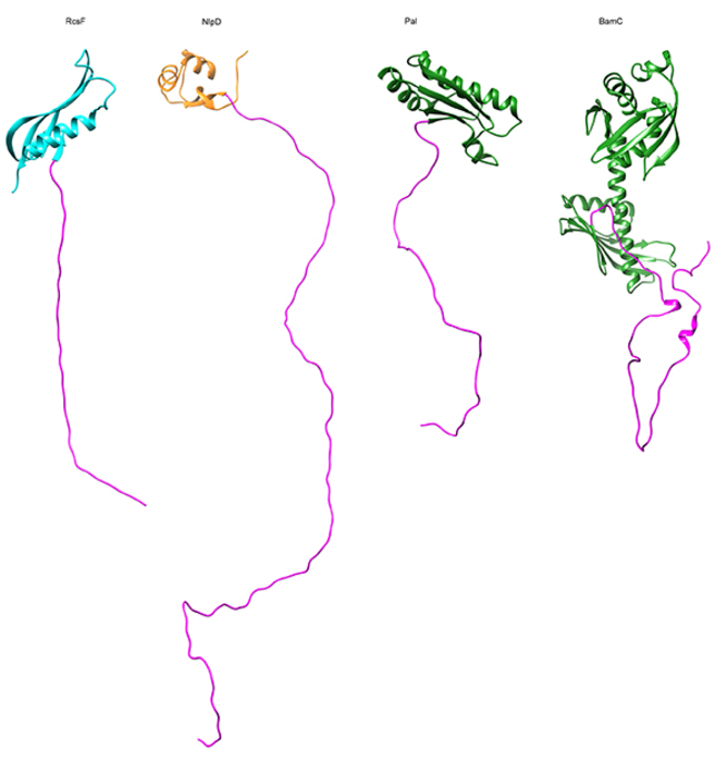 The soft spaghetti of proteins