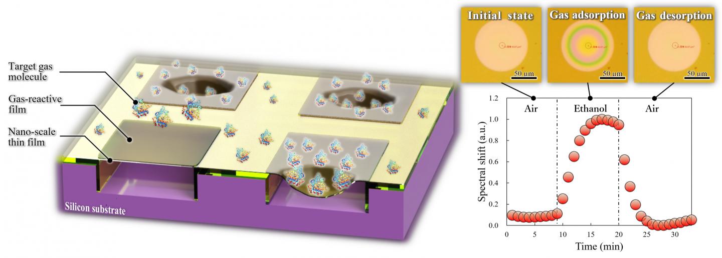 IoT chemical sensor that detects minute quantities of gas molecules adsorbed on the surface of the thin nanosheet