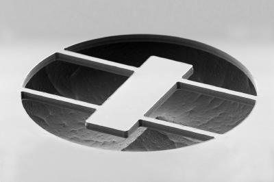 Electron Microscopy Picture of a Micro Resonator