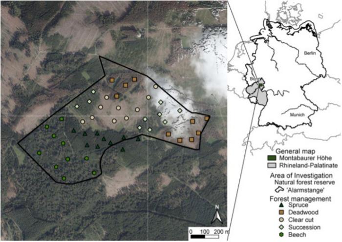 Location of the study sites in different forest management categories