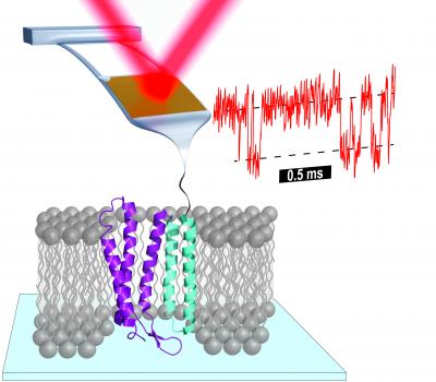 JILA Protein Folding Study