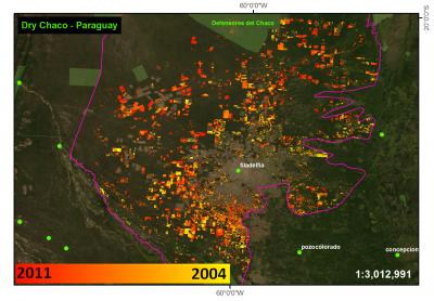 Deforestation in Paraguary, as Seen by Terra-i