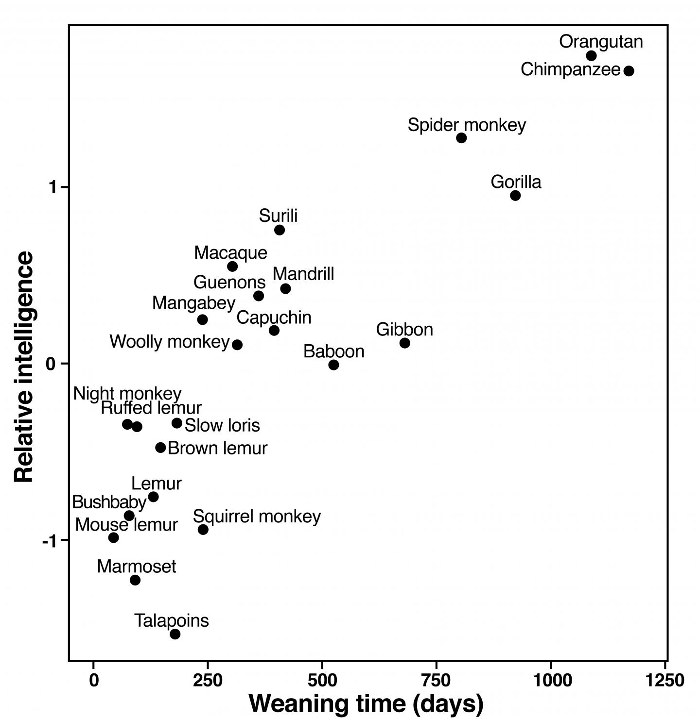 Weaning Time and Relative Intelligence of Select Primates