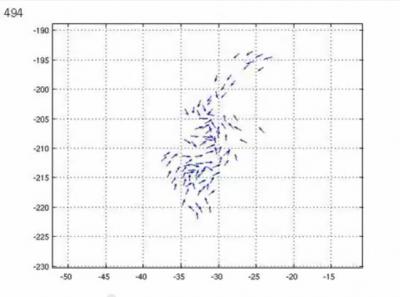 Starling -- Simulated Flock