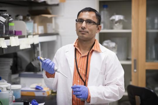 Cancer discovery could revive failed treatments for triple-negative breast cancer, other solid tumors