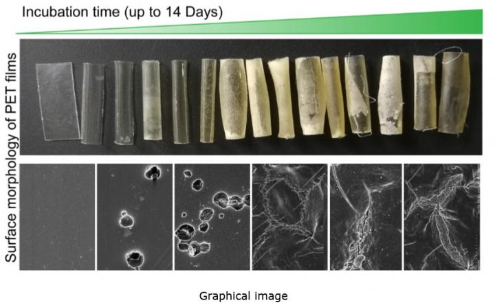 SEM Analysis 