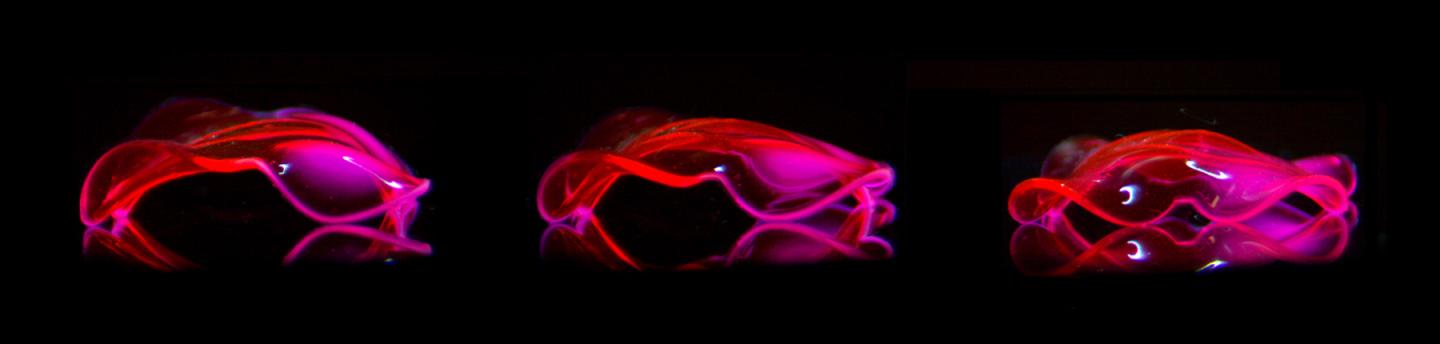 Bioinspired 3D Structures