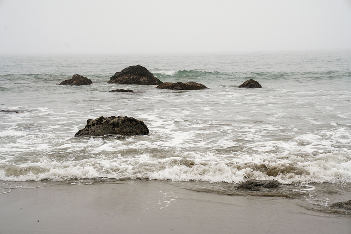 Foggy California Coast