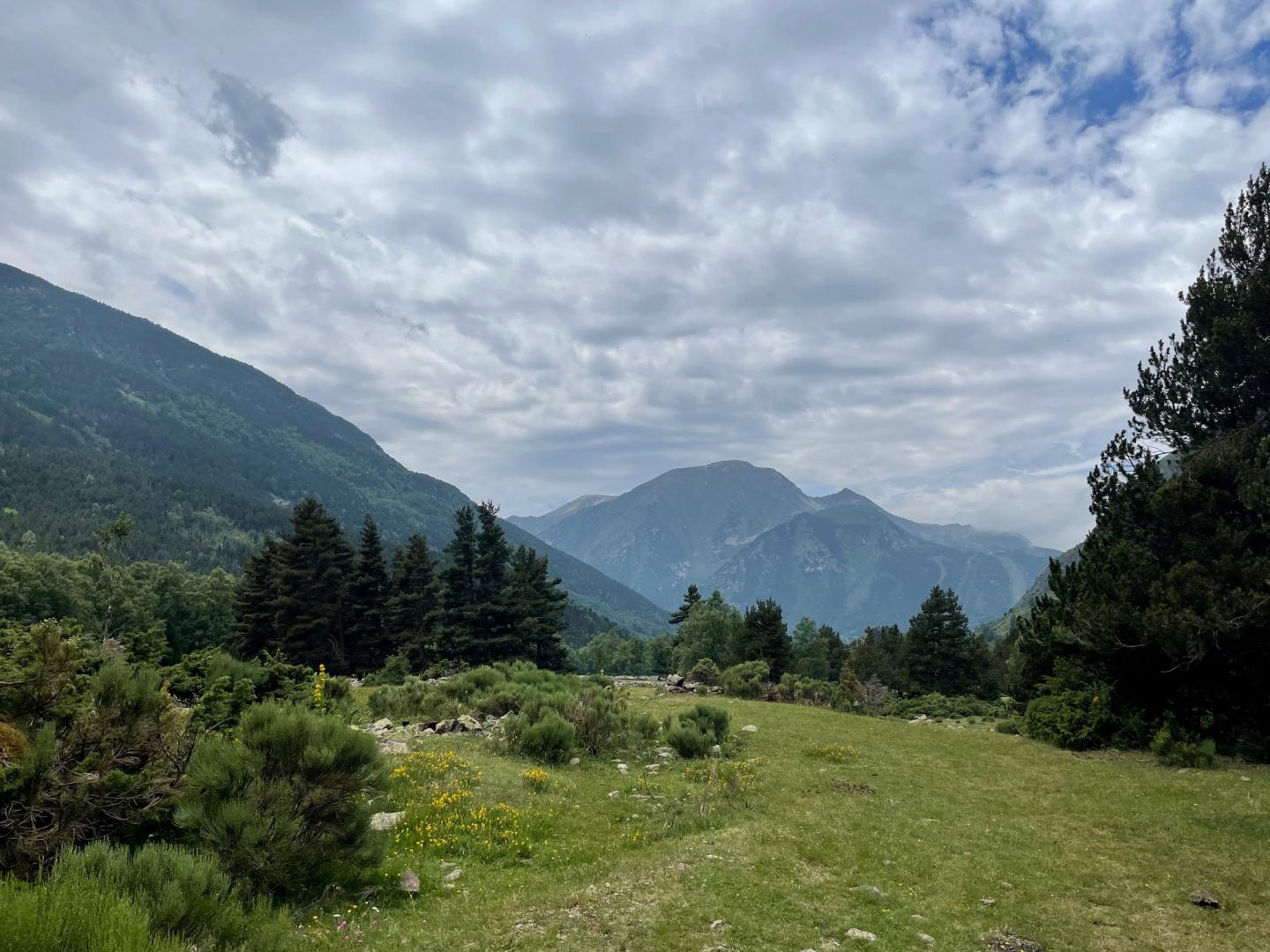 Pyrenees