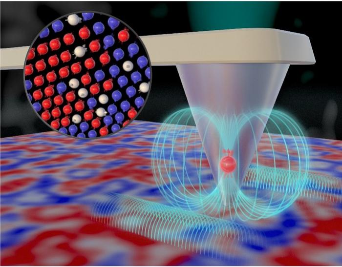 Single-spin qubit probing nanoscale spin fluctuations