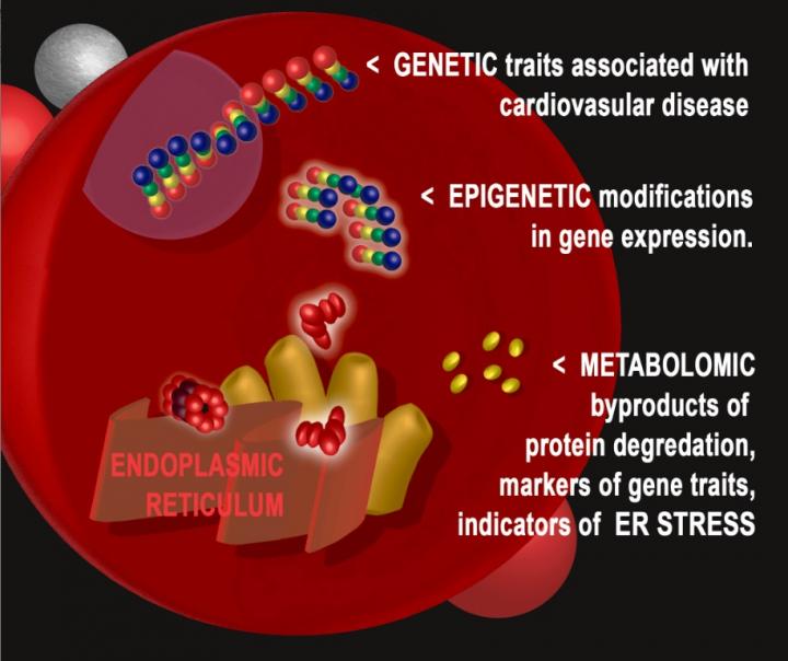Metabolites