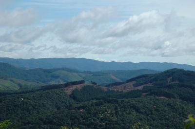 Deforestation in Atlantic Forest