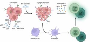 INT-1B3, an LNP formulated miR-193a-3p mimic, promotes anti-tumor immunity by enhancing T cell mediated immune responses via modulation of the tumor microenvironment and induction of immunogenic cell death