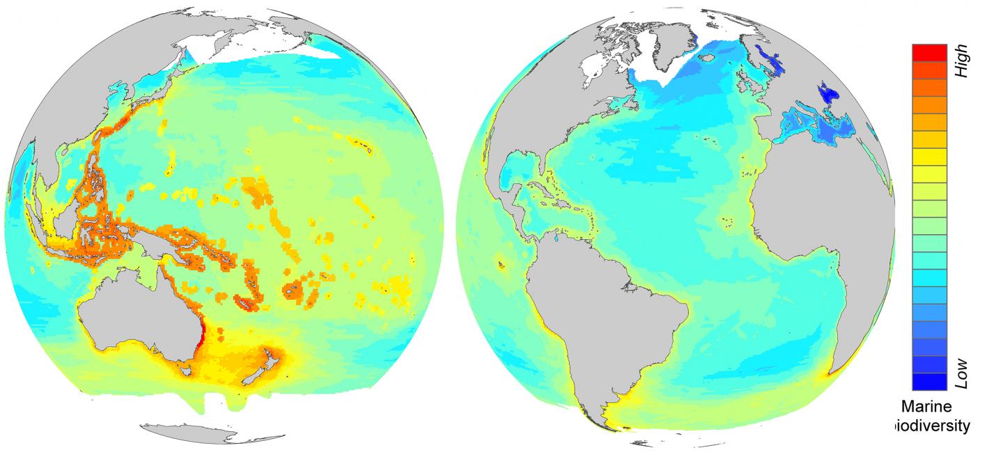 Hot Spots of Marine Biodiversity Also Most Severely Impacted by Global Warming