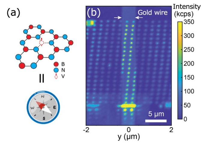 Quantum sensor nanoarray.