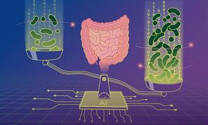 2024_10_BorkMicrobiomeVisual