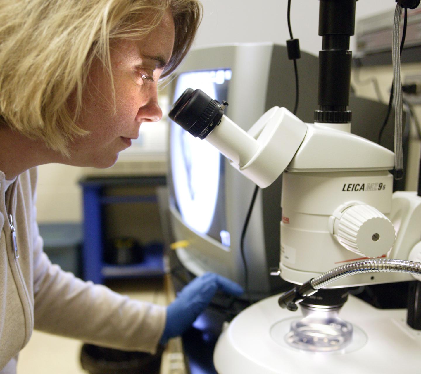 Rebecca Klaper, University of Wisconsin - Milwaukee