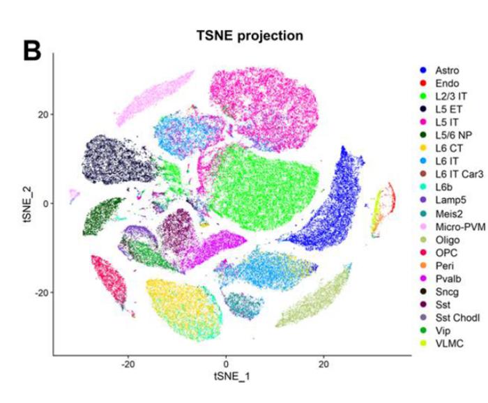 Gene Expression