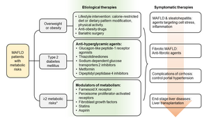 Therapeutic developments in metabolic dysfunction-associated fatty liver disease (MAFLD)