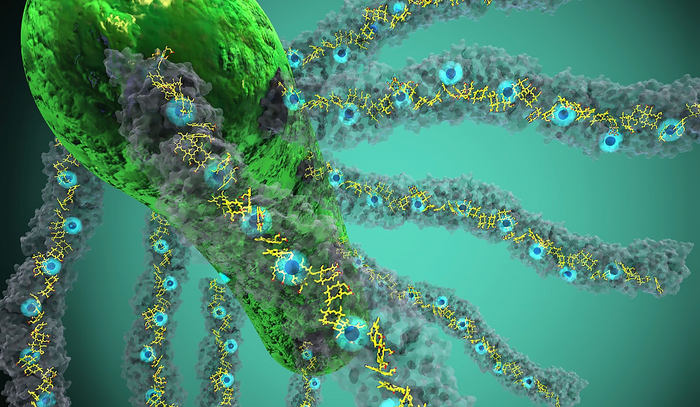 Caption: Bacteria producing nanowires made up of cytochrome OmcS. (Credit: Ella Maru Studio)