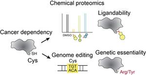 Base editing and chemical proteomics