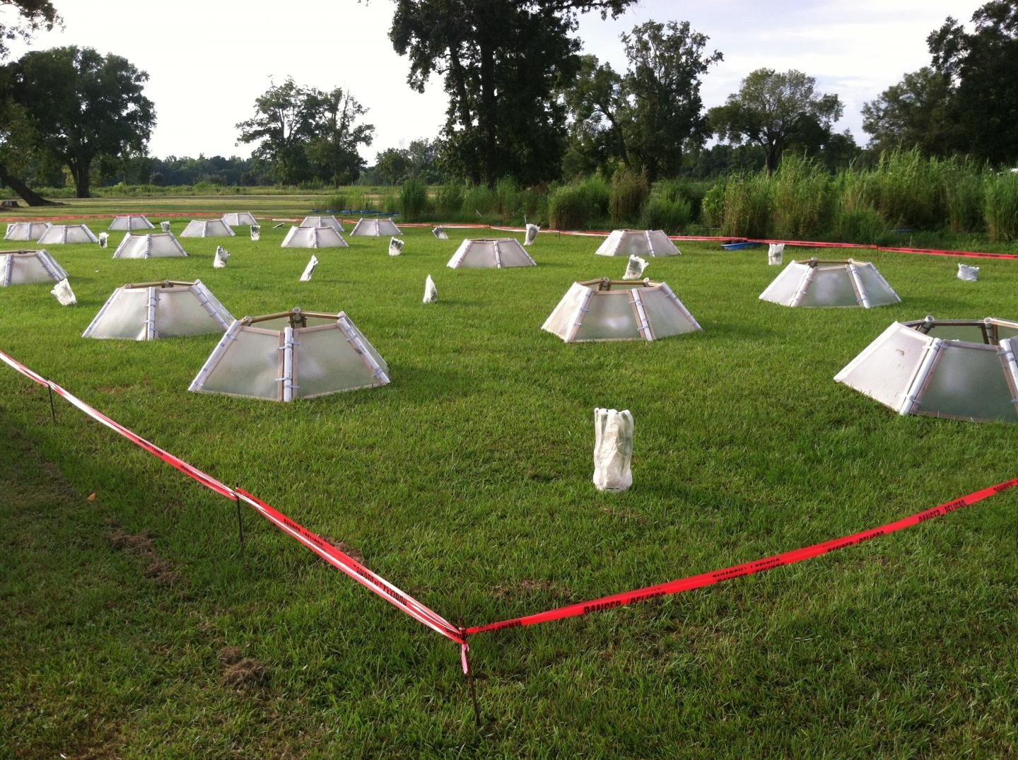Small Greenhouse-Like Structures Called Open-Top Chambers