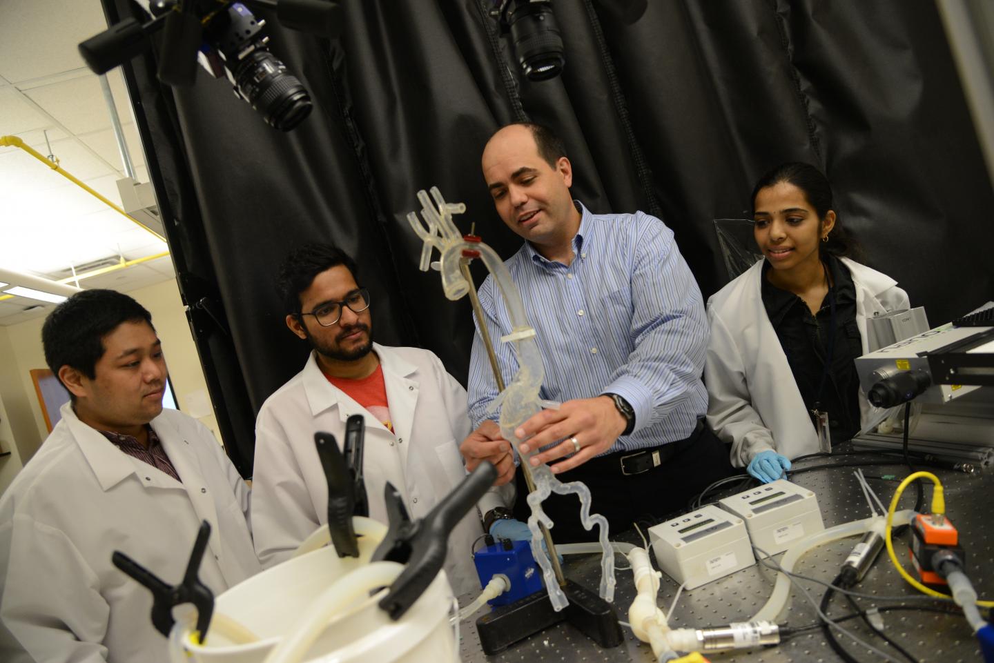 Ender Finol, University of Texas at San Antonio