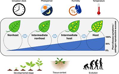 Nonhost resistance infographic
