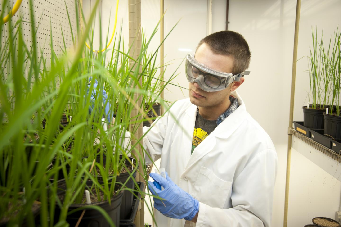 Jonathon Cottone, University of Delaware