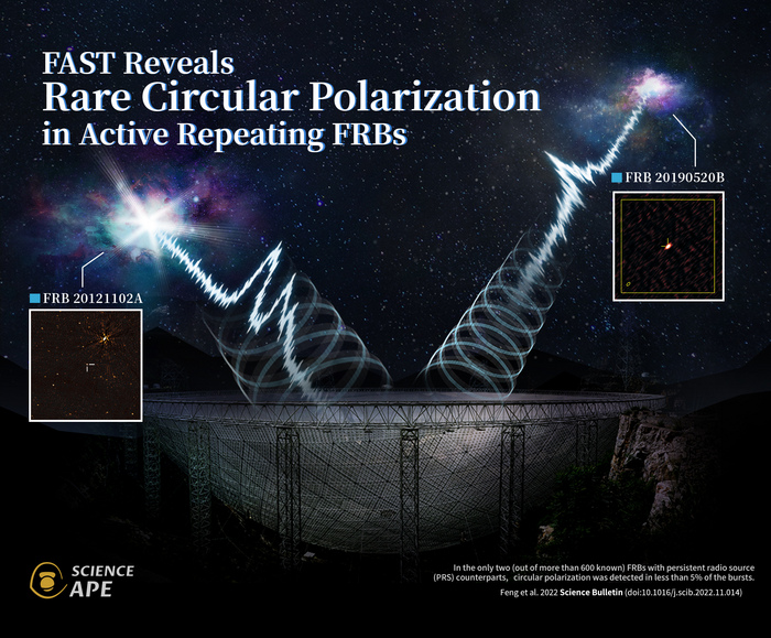 The artist impression of FAST detected the circular polarization from two active repeating FRBs with PRSs