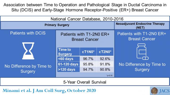 Visual Abstract