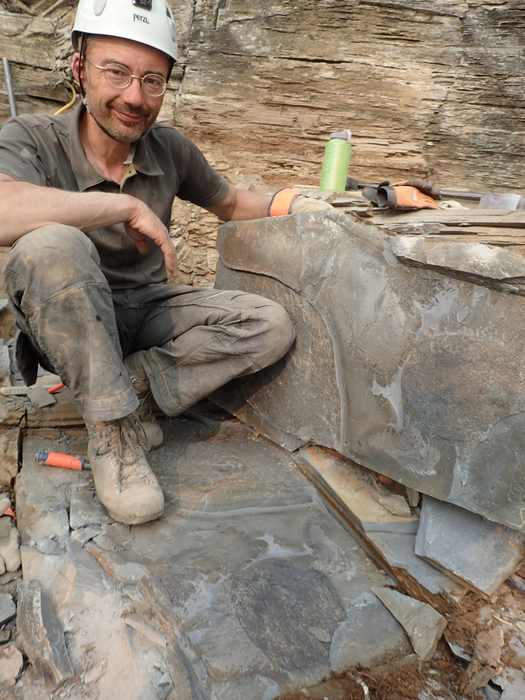 Jean-Bernard Caron with fossil of Titanokorys gainesi at the quarry site