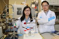 Xueli Zheng and Dr. Bo Zhang, University of Toronto